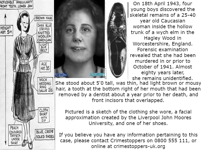 omposite image showing a police-style sketch of the unidentified woman known as Bella, a modern facial reconstruction, and annotated details about her estimated age, height, clothing, and discovery in Hagley Wood in 1943.