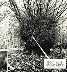 Black and white photograph of the hollow wych elm tree in Hagley Wood with an arrow indicating the location where the unidentified woman known as “Bella” was found in 1943.